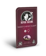 SENSI SEEDS BANK - SWEET CHERRY KUSH FEM – Image 2