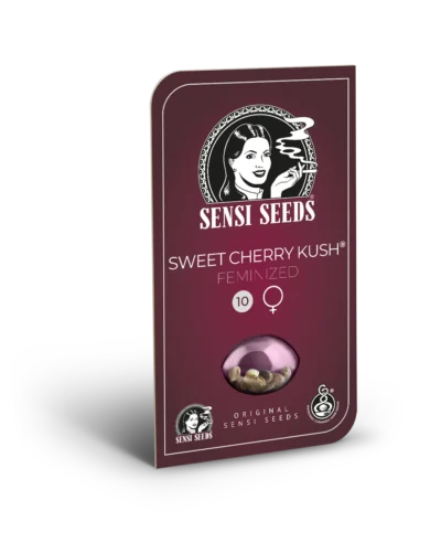 SENSI SEEDS BANK - SWEET CHERRY KUSH FEM – Bild 2