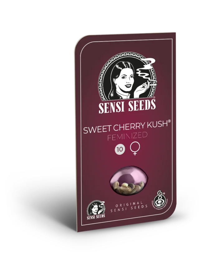 SENSI SEEDS BANK - SWEET CHERRY KUSH FEM - immagine 1