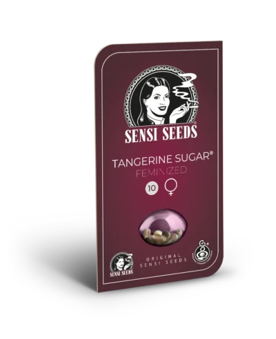 BANCO DE SEMILLAS SENSI - TANGERINE SUGAR FEM - Imagen 2
