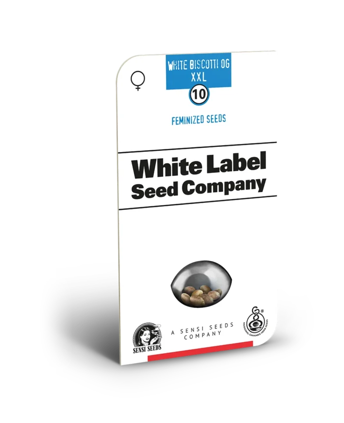 WHITE LABEL - WHITE BISCOTTI OG XXL FEM - immagine 1
