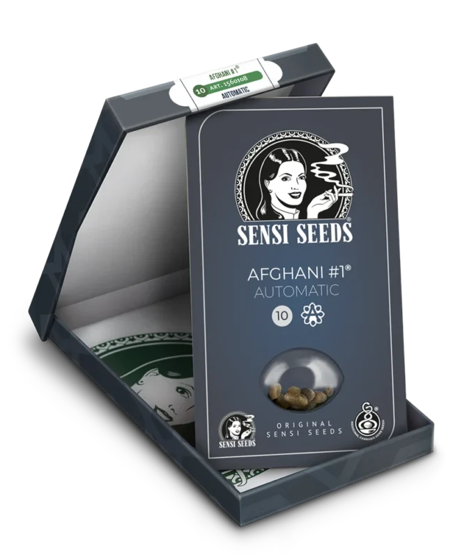 SENSI SEEDS BANK - AFGHANI #1 AUTOMATIC FEM – Image 2