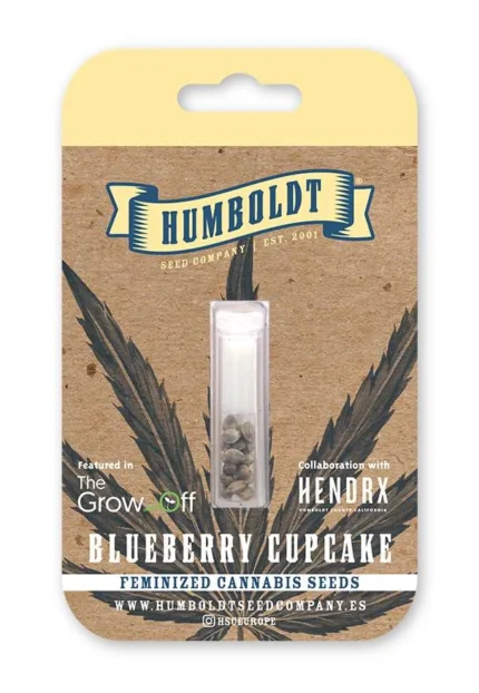 HUMBOLDT SEEDS COMPANY - BLUEBERRY CUPCAKE FEM