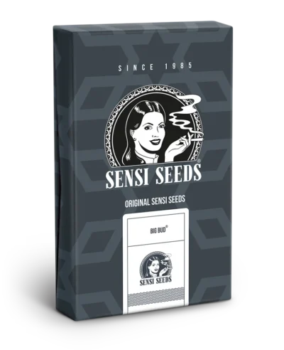 SENSI SEEDS BANK - BIG BUD AUTOMATIC FEM - immagine 3