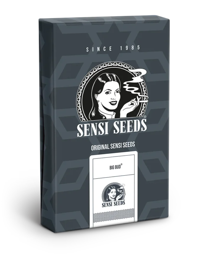 BANCO DE SEMILLAS SENSI - BIG BUD AUTOMATICA FEM - Imagen 2