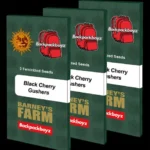 BARNEY'S FARM - BLACK CHERRY GUSHERS FEM