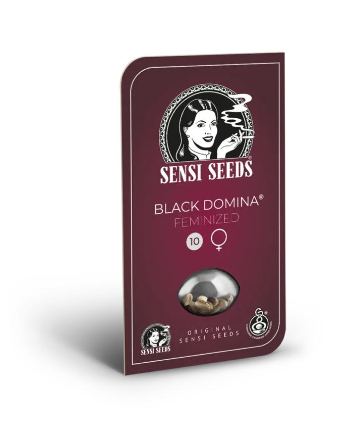 SENSI SEEDS BANK - BLACK DOMINA FEM – Image 3