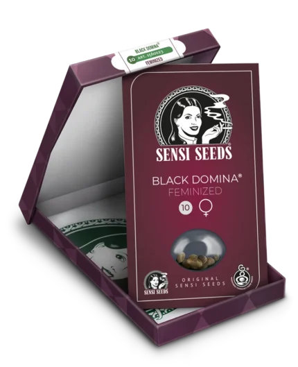 SENSI SEEDS BANK - BLACK DOMINA FEM