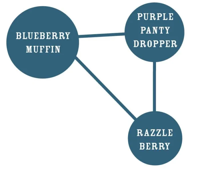 HUMBOLDT SEEDS COMPANY - BLUEBERRY MUFFIN FEM – Image 2