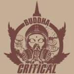 BUDDHA SEEDS - BUDDHA CRITICAL CLASSIC FEM – Bild 2
