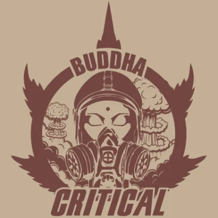 BUDDHA SEEDS - BUDDHA CRITICAL CLASSIC FEM