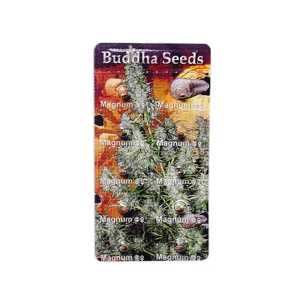 BUDDHA SEEDS - MAGNUM AUTO FEM
