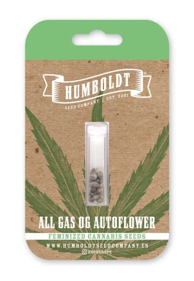 c9ea059f93621535718ae8811faeefc1.webp HUMBOLDT SEEDS COMPANY - ALL GAS OG AUTO - immagine 1