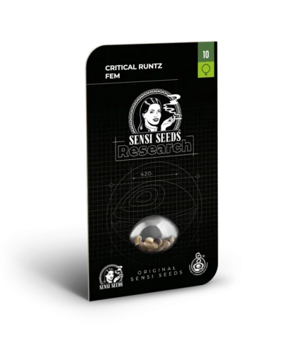 SENSI SEEDS RESEARCH - KRITISCHE RUNTZ FEM – Bild 2