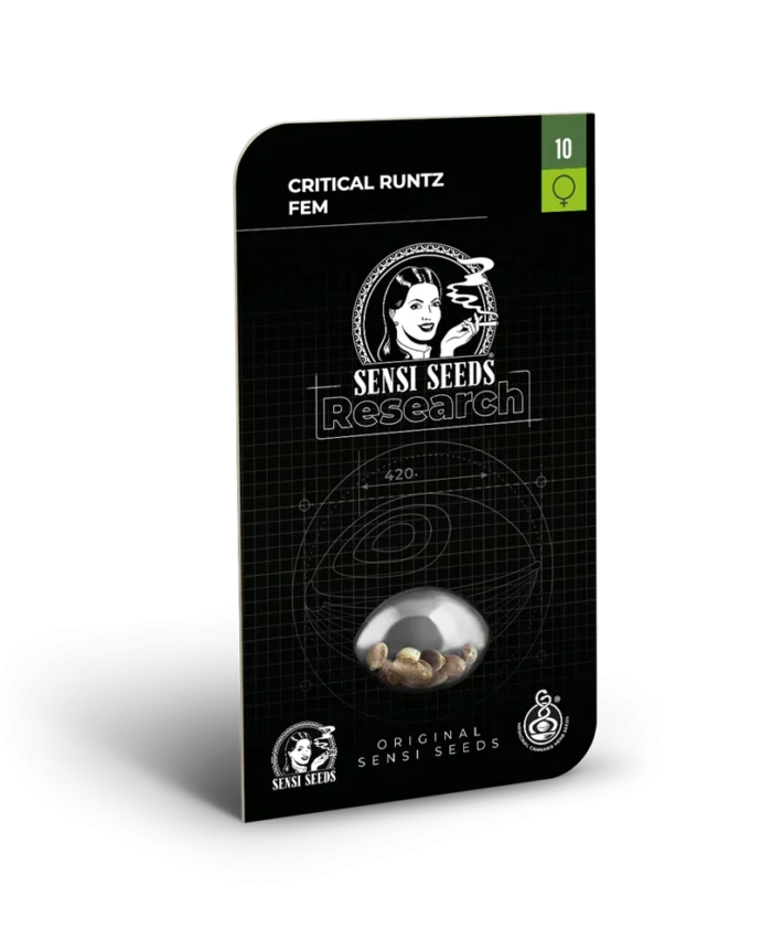 SENSI SEEDS RESEARCH - CRITICAL RUNTZ FEM - immagine 1