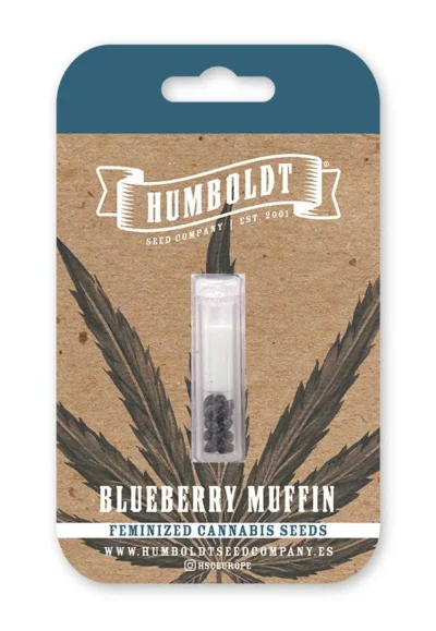 HUMBOLDT SEEDS COMPANY - BLUEBERRY MUFFIN FEM - immagine 1