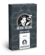SENSI SEEDS BANK - HINDU KUSH AUTOMATIC FEM - immagine 2