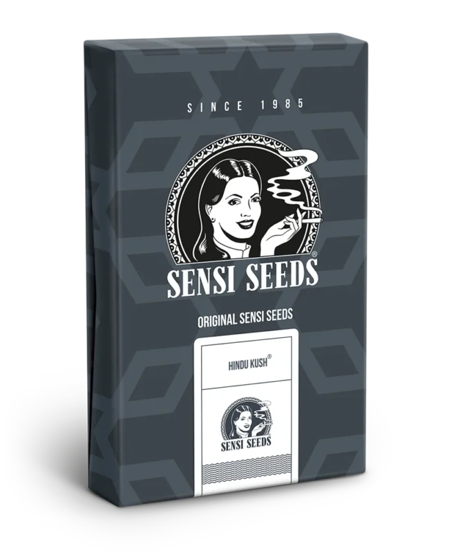 SENSI SEEDS BANK - HINDU KUSH AUTOMATIC FEM – Bild 3