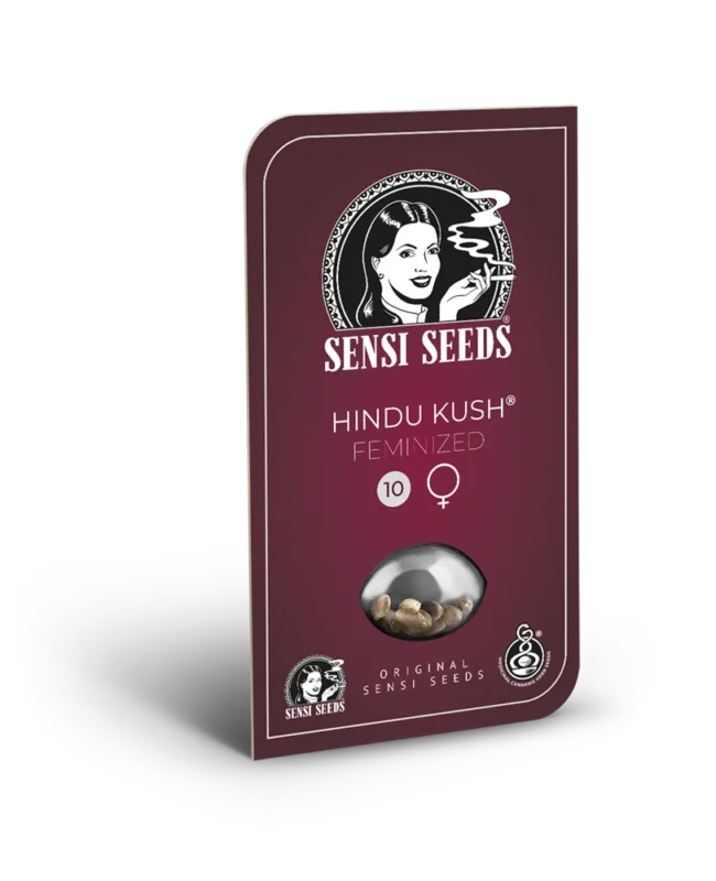 SENSI SEEDS BANK - HINDU KUSH FEM - Image 4