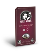 SENSI SEEDS BANK - JACK FLASH #5 FEM - immagine 3