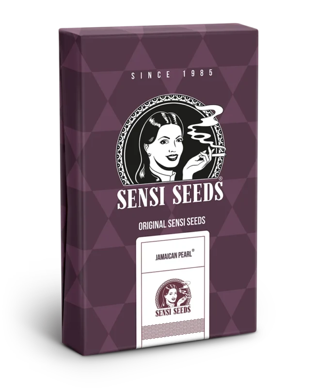 SENSI SEEDS BANK - JAMAICAN PEARL FEM – Image 3