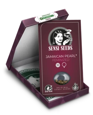 SENSI SEEDS BANK - JAMAICAN PEARL FEM – Bild 2