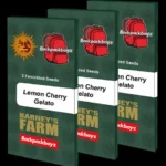 BARNEY'S FARM - LEMON CHERRY ICE CREAM FEM