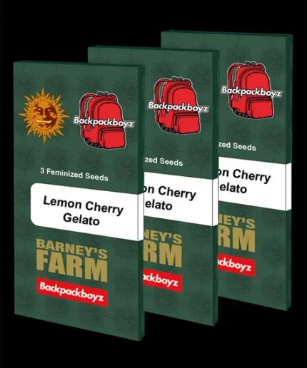 BARNEY'S FARM - LEMON CHERRY ICE CREAM FEM