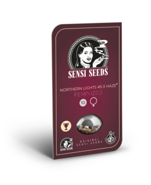SENSI SEEDS BANK - NORTHERN LIGHTS #5 X HAZE FEM – Image 4