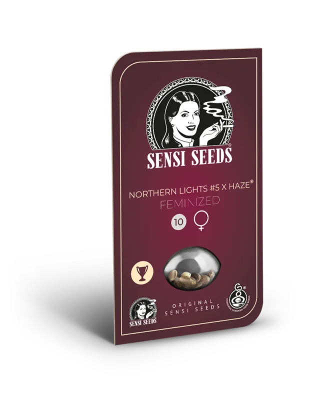 SENSI SEEDS BANK - NORTHERN LIGHTS #5 X HAZE FEM - immagine 4
