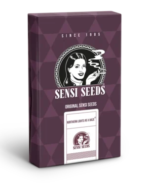 SENSI SEEDS BANK - NORTHERN LIGHTS #5 X HAZE FEM – Image 3