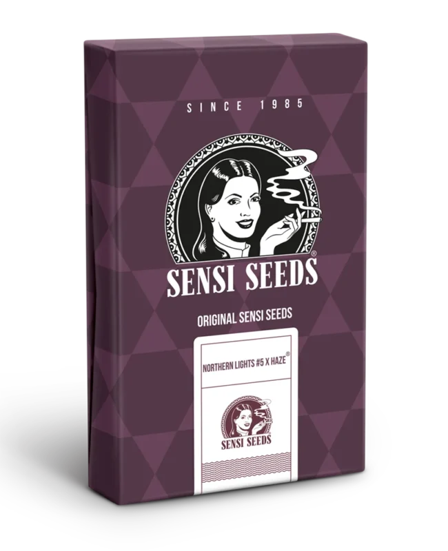 SENSI SEEDS BANK - NORTHERN LIGHTS #5 X HAZE FEM - immagine 3