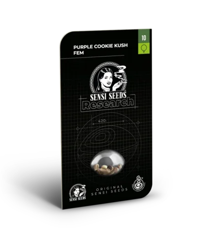SENSI SEEDS RESEARCH - PURPLE COOKIES KUSH FEM – Image 2