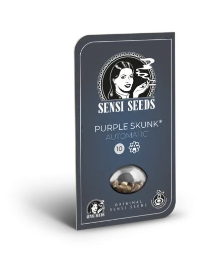 SENSI SEEDS RESEARCH - PURPLE SKUNK AUTO FEM