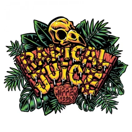 GRAINES DE RIPPER - RADICAL JUICE FEM