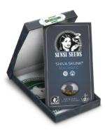 SENSI SEEDS BANK - SHIVA SKUNK AUTOMATIC FEM – Image 2