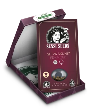 SENSI SEEDS BANK - SHIVA SKUNK FEM – Bild 2