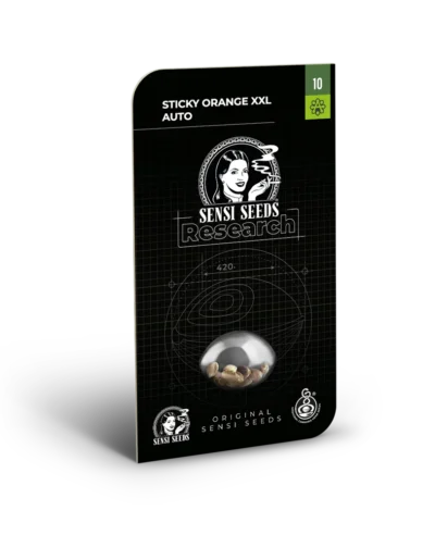 SENSI SEEDS RESEARCH - STICKY ORANGE XXL AUTO FEM - Imagen 2