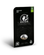 SENSI SEEDS RESEARCH - TEZLA OG FEM – Image 2