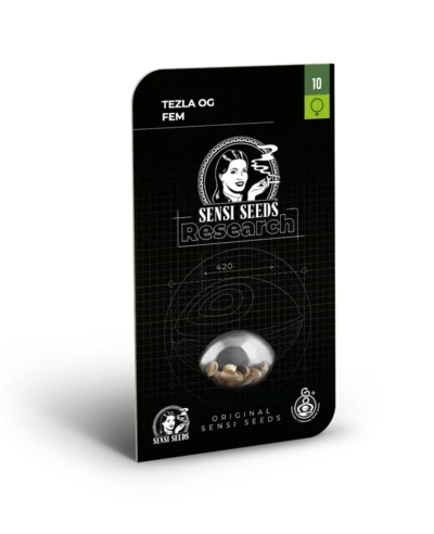 SENSI SEEDS RESEARCH - TEZLA OG FEM - immagine 2