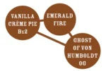 HUMBOLDT SEEDS COMPANY - VANILLA CREME PIE FEM - immagine 2
