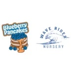 HUMBOLDT SEEDS COMPANY - BLUEBERRY PANCAKES FEM - Image 4