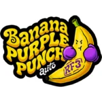 FAST BUDS - BANANA PURPLE PUNCH AUTO RF3 FEM – Bild 2