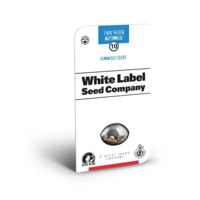 WHITE LABEL - SNOW RYDER AUTOFIOENTE | 5 SEMI - immagine 2