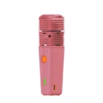 STORZ&BICKEL - VEAZY | ROSA | TRAGBARER VERDAMPFER – Bild 2