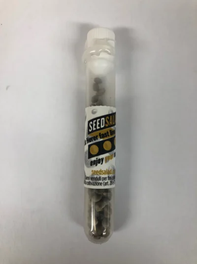 SEEDSALAD - FAST LINE JACK HERER PIPETTA 100 SEMI FEMM - immagine 3