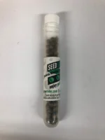 SEEDSALAD - REINA MADRE PIPETTE 100 SEEDS FEMM - Image 3