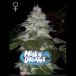 GREEN HOUSE SEED CO. - MILKY DREAMS FEM