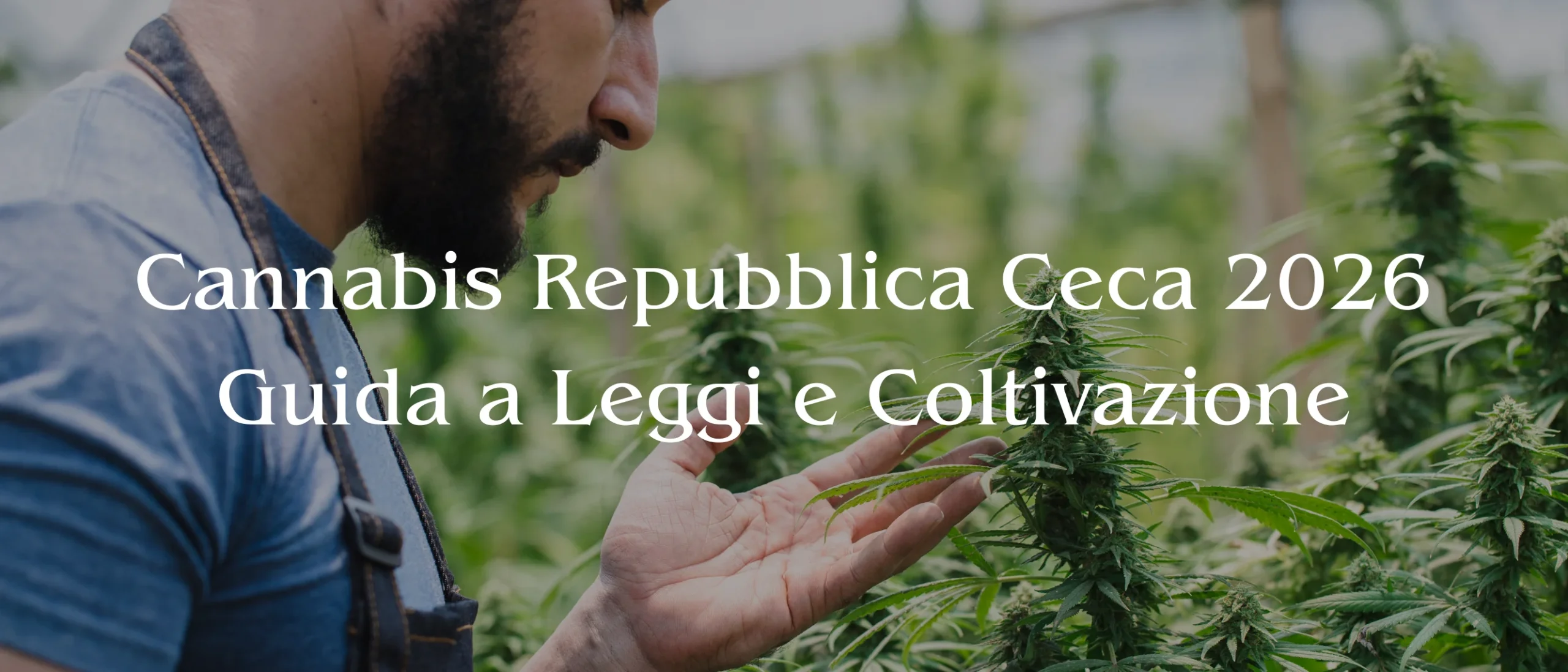 banner Cannabis Repubblica Ceca 2026: Guida a Leggi e Coltivazione