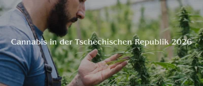 banner Cannabis in der Tschechischen Republik 2026